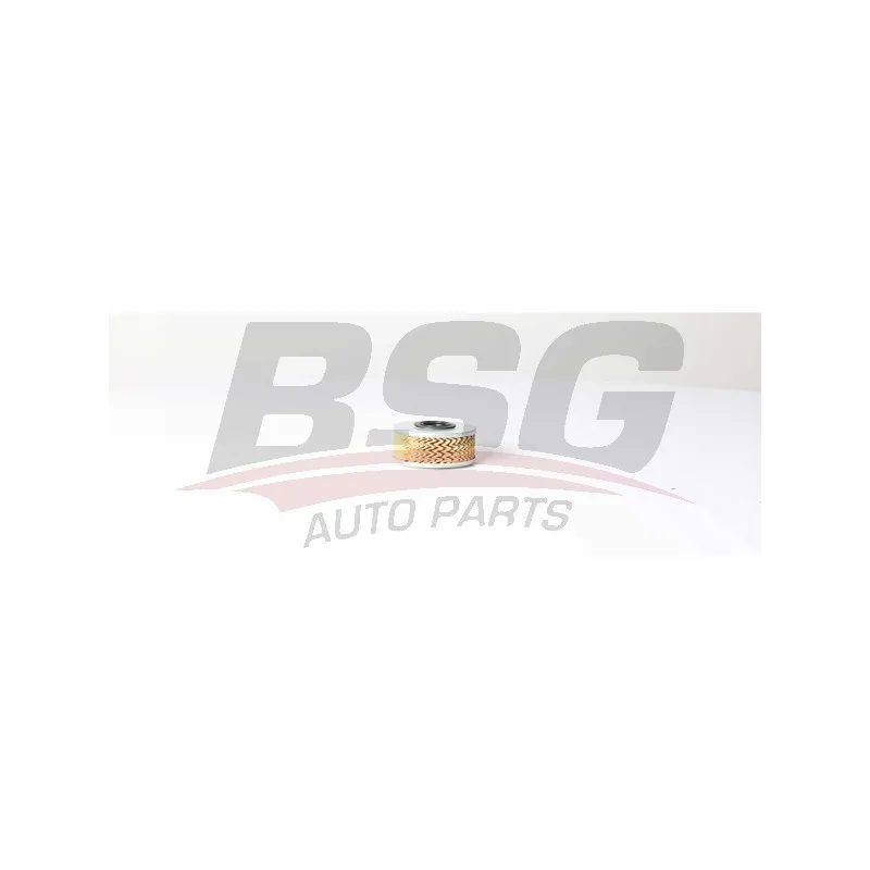 Filtre à carburant BSG BSG 75-130-009