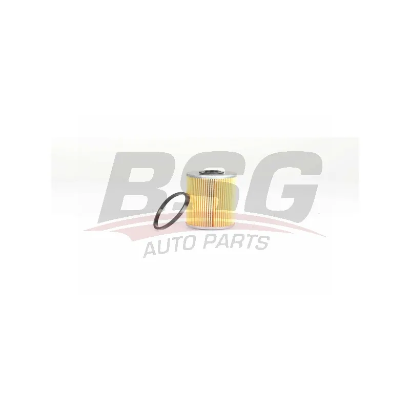 Filtre à carburant BSG BSG 75-130-010