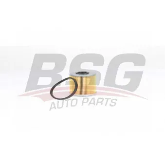 Filtre à carburant BSG BSG 75-130-011