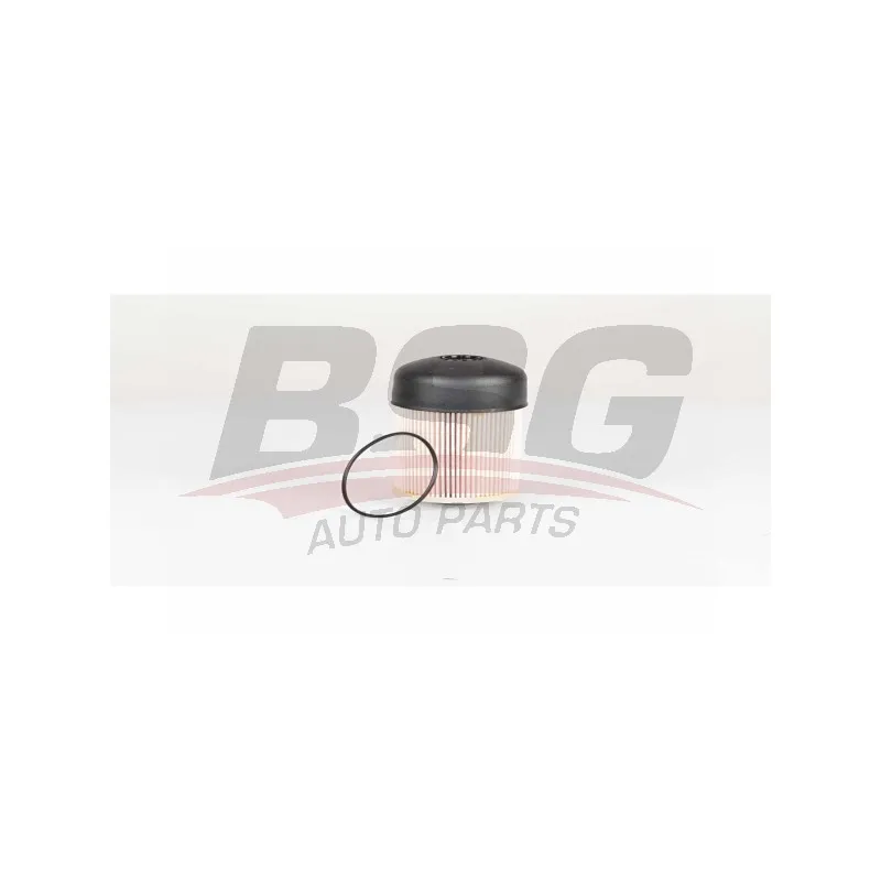 Filtre à carburant BSG BSG 75-130-013