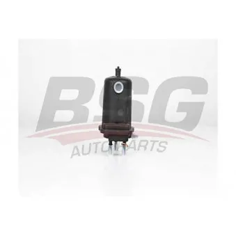 Filtre à carburant BSG