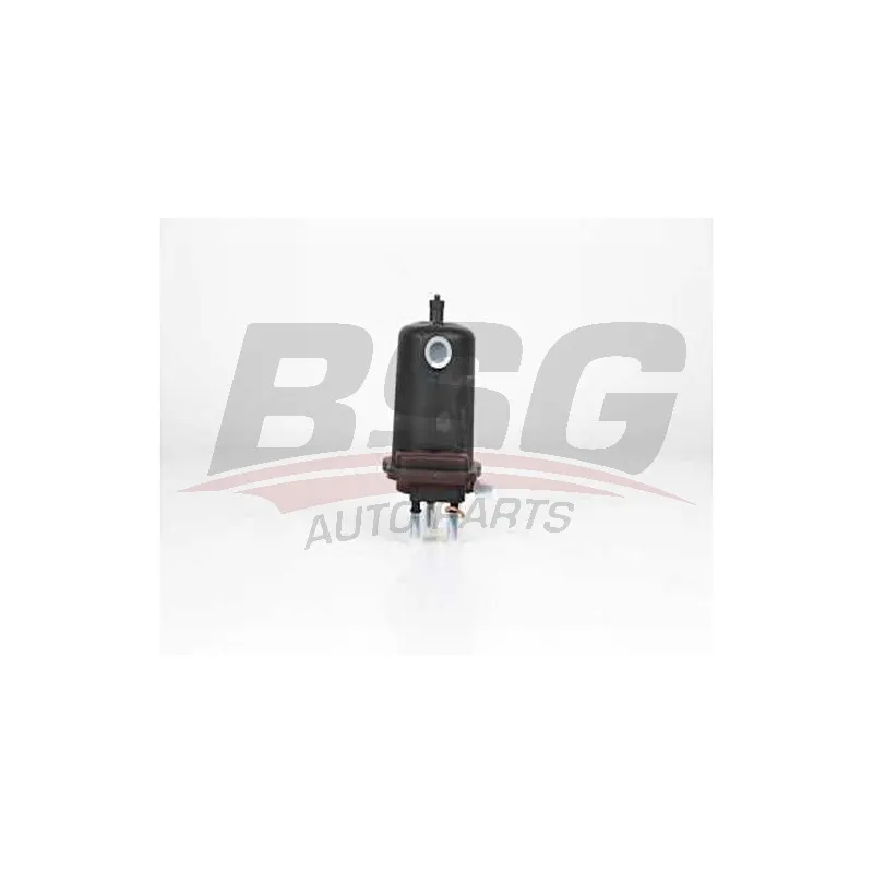 Filtre à carburant BSG BSG 75-130-015