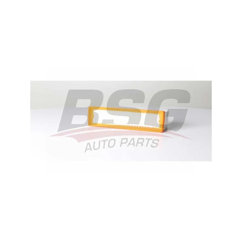 Filtre à air BSG BSG 75-135-002
