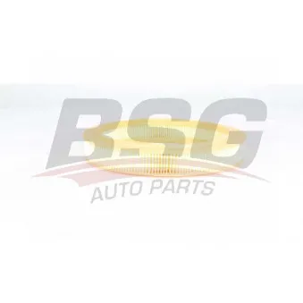 Filtre à air BSG BSG 75-135-011