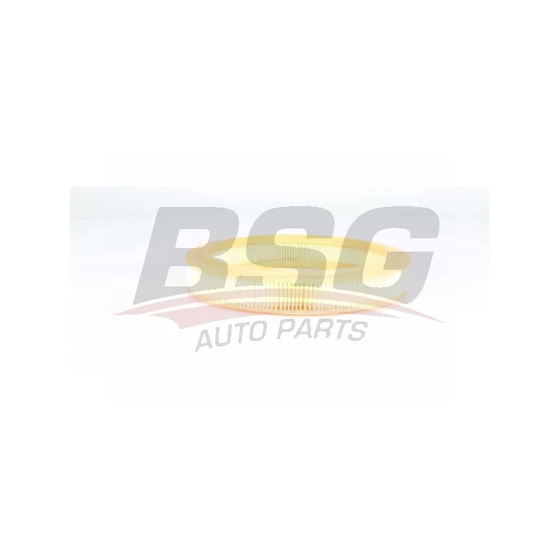 Filtre à air BSG BSG 75-135-011
