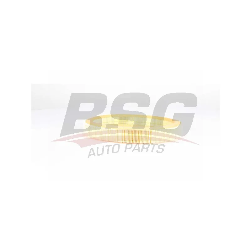 Filtre à air BSG BSG 75-135-012