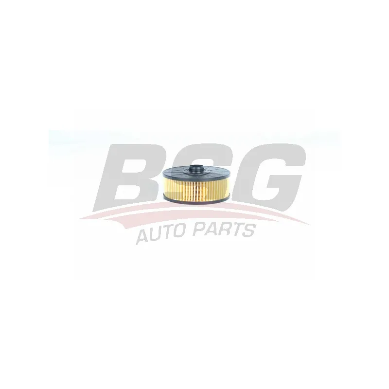 Filtre à huile BSG BSG 75-140-003