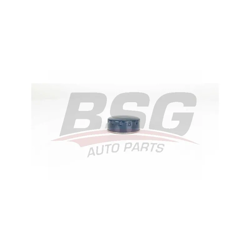 Filtre à huile BSG BSG 75-140-005
