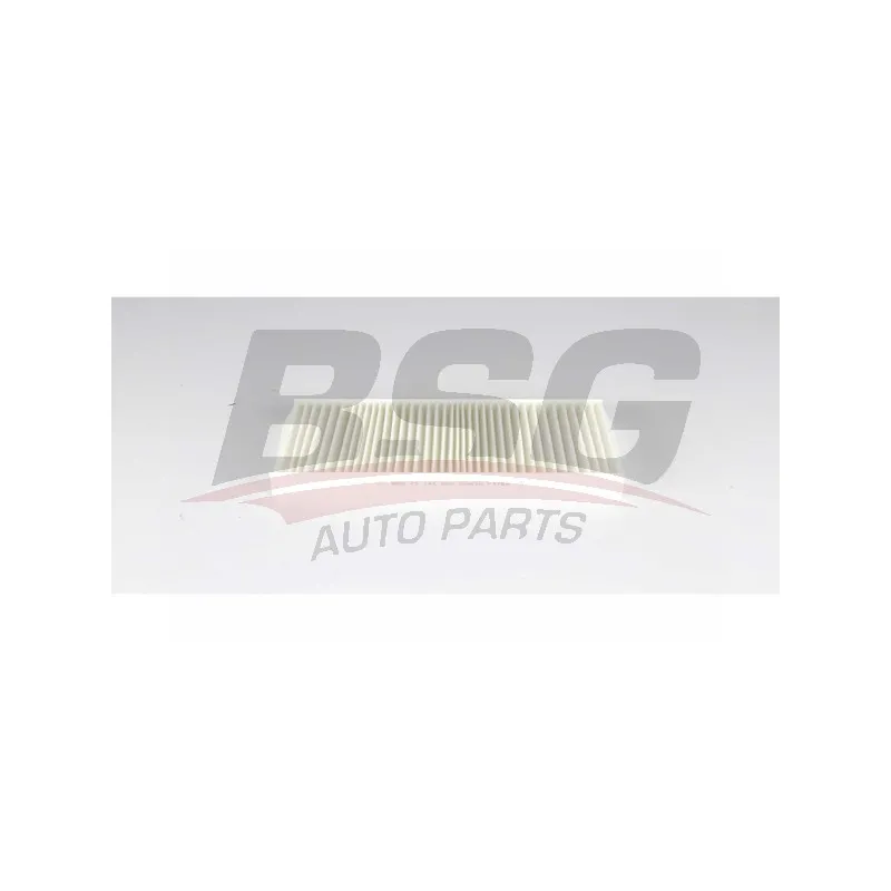 Filtre, air de l'habitacle BSG BSG 75-145-003