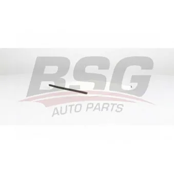 Filtre, air de l'habitacle BSG BSG 75-145-007