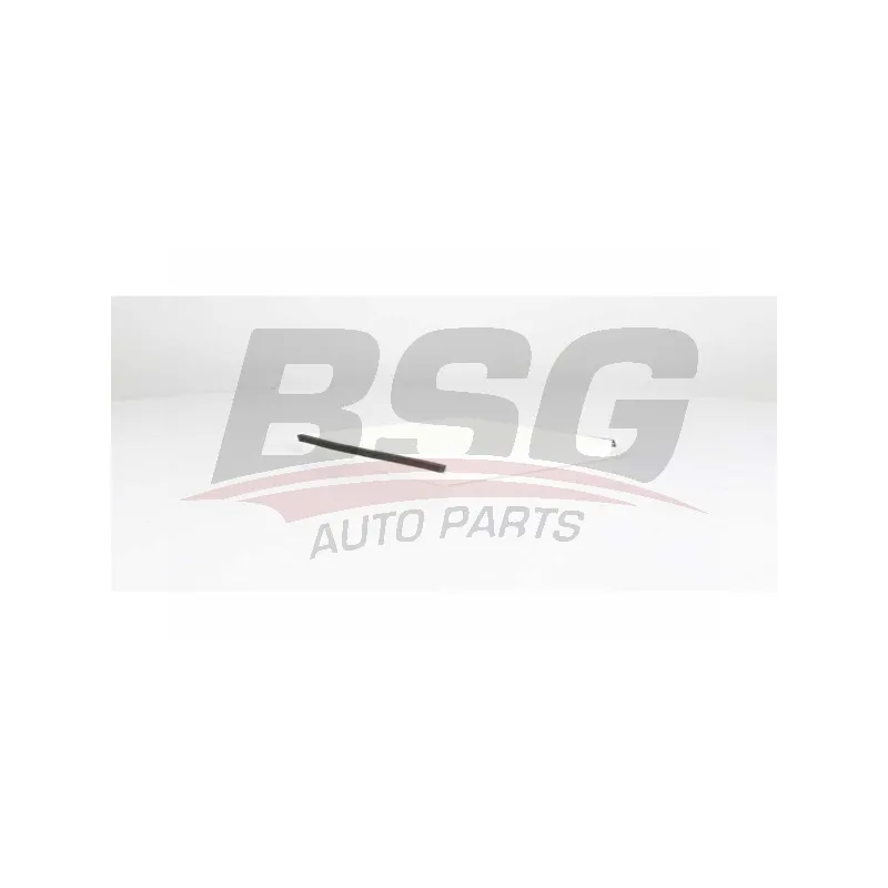 Filtre, air de l'habitacle BSG BSG 75-145-007