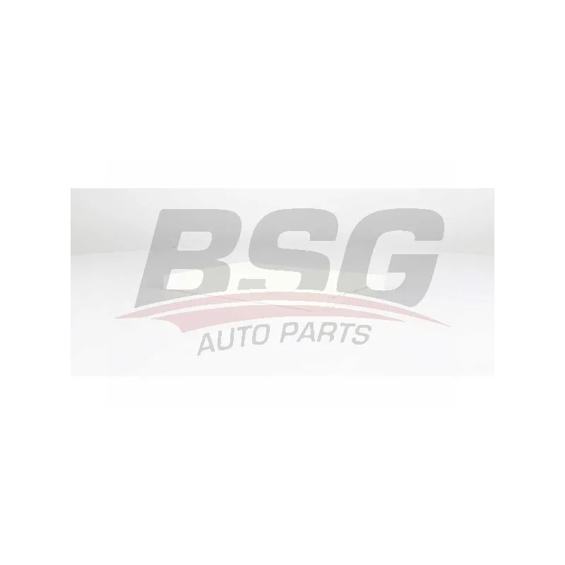 Filtre, air de l'habitacle BSG BSG 75-145-011