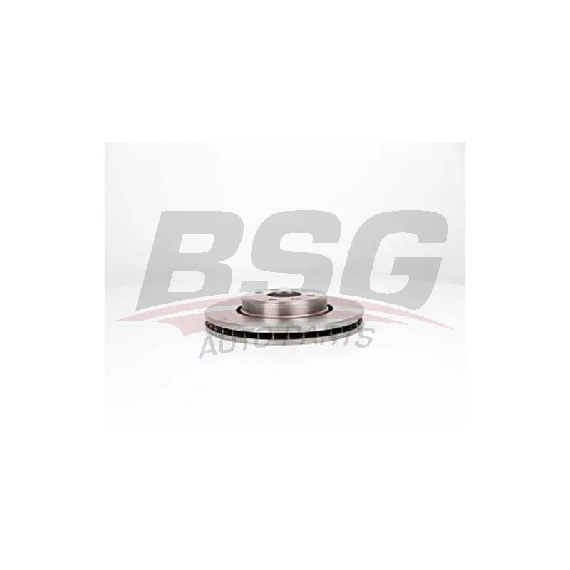 Jeu de 2 disques de frein avant BSG BSG 75-210-004