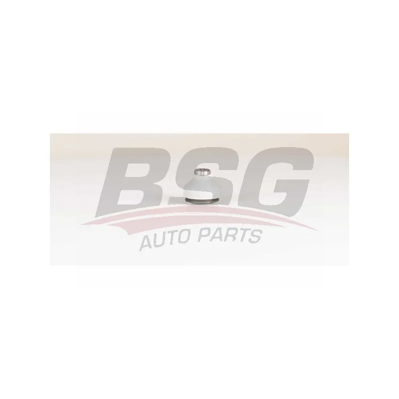 Rotule de suspension BSG BSG 75-310-041