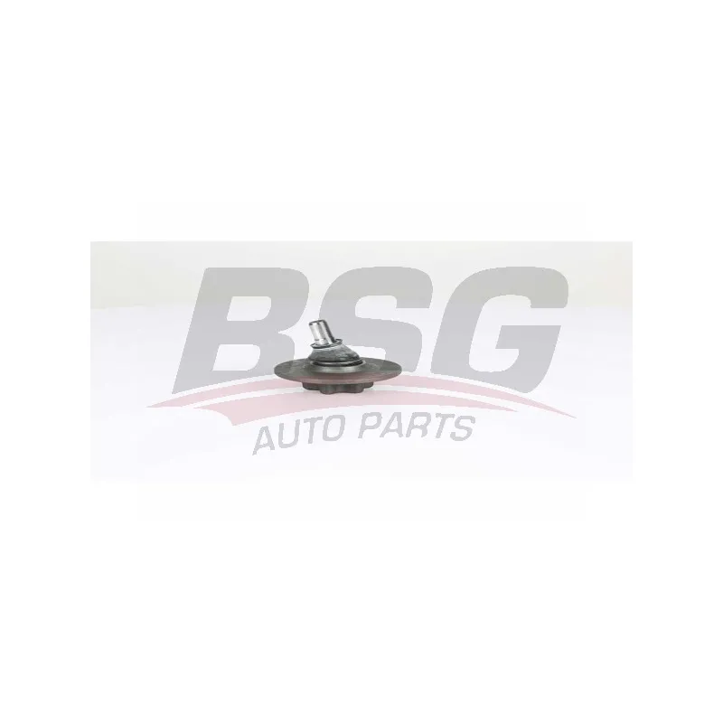 Rotule de suspension BSG BSG 75-310-053