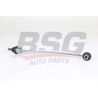 Entretoise/tige, stabilisateur BSG BSG 75-310-080