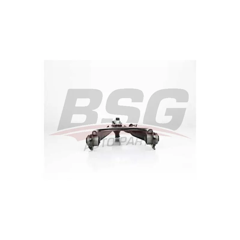 Triangle ou bras de suspension (train avant) BSG BSG 75-315-011