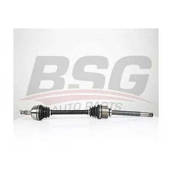 Arbre de transmission BSG BSG 75-350-017