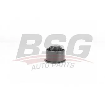 Suspension, corps de l'essieu BSG BSG 75-700-022