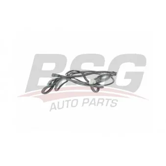 Tuyauterie de carburant BSG BSG 75-720-037