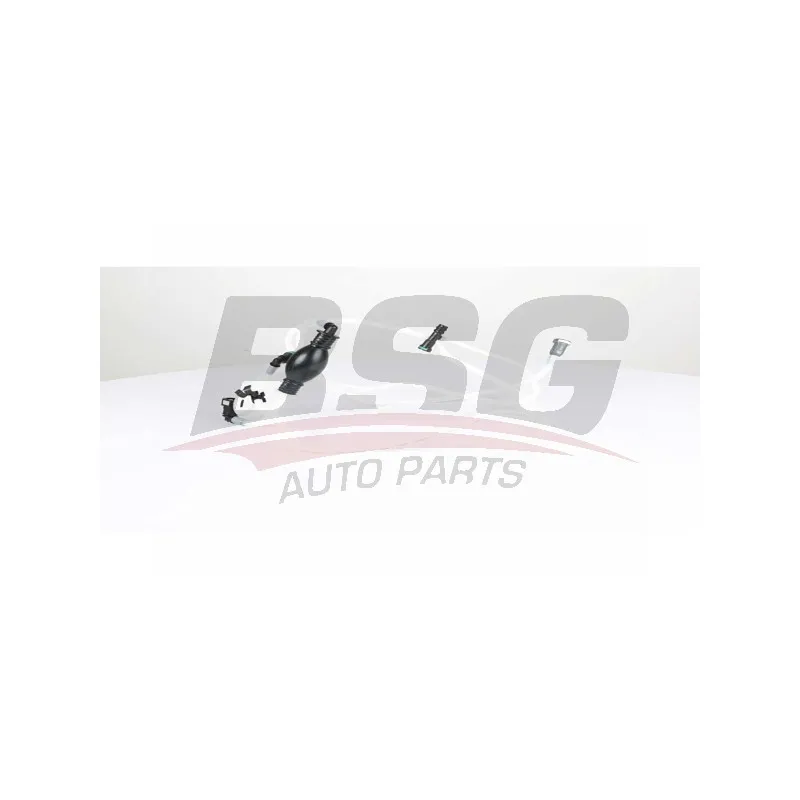 Tuyauterie de carburant BSG BSG 75-725-010