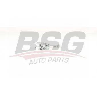 Cale-porte BSG BSG 75-975-004