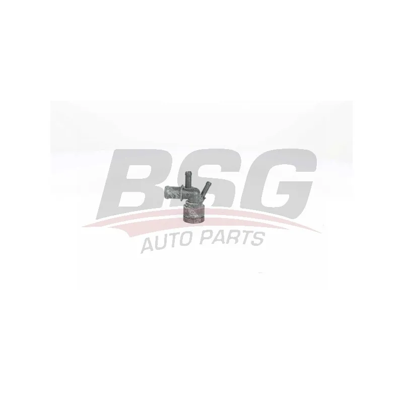 Bride de liquide de refroidissement BSG BSG 90-126-048