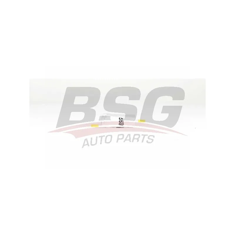Filtre à carburant BSG BSG 90-130-016