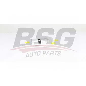 Filtre à carburant BSG BSG 90-130-018