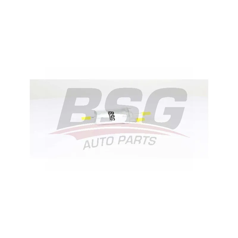 Filtre à carburant BSG BSG 90-130-018