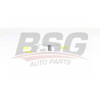 Filtre à carburant BSG BSG 90-130-019