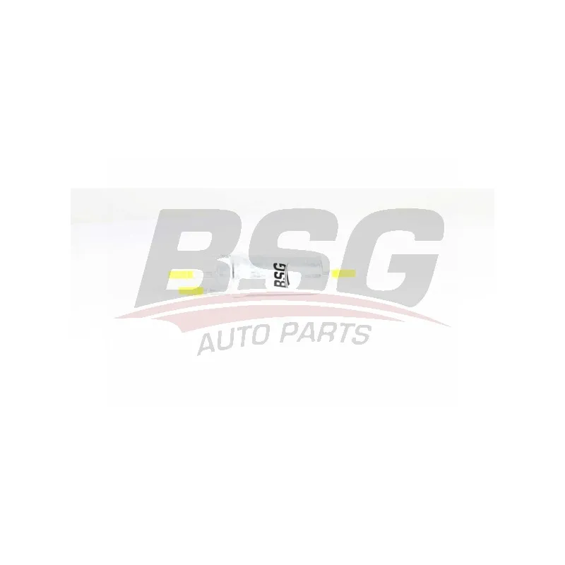 Filtre à carburant BSG BSG 90-130-019