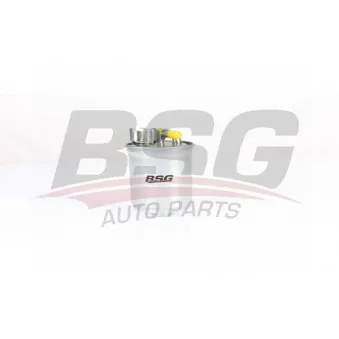 Filtre à carburant BSG BSG 90-130-020