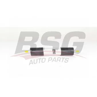 Filtre à carburant BSG BSG 90-130-022