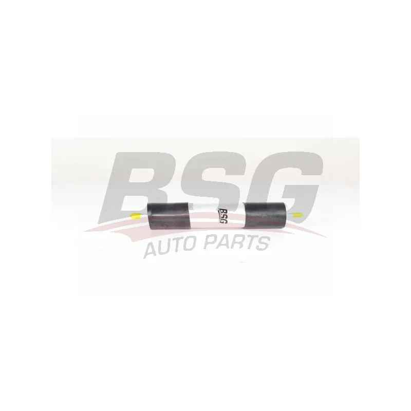 Filtre à carburant BSG BSG 90-130-022