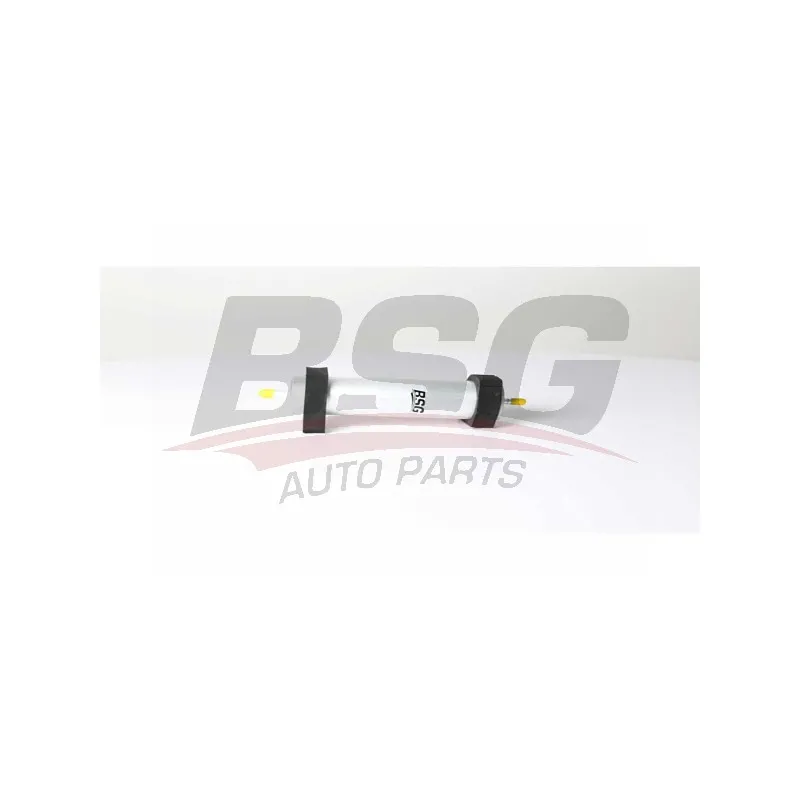 Filtre à carburant BSG BSG 90-130-023