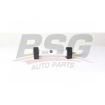 Filtre à carburant BSG BSG 90-130-027
