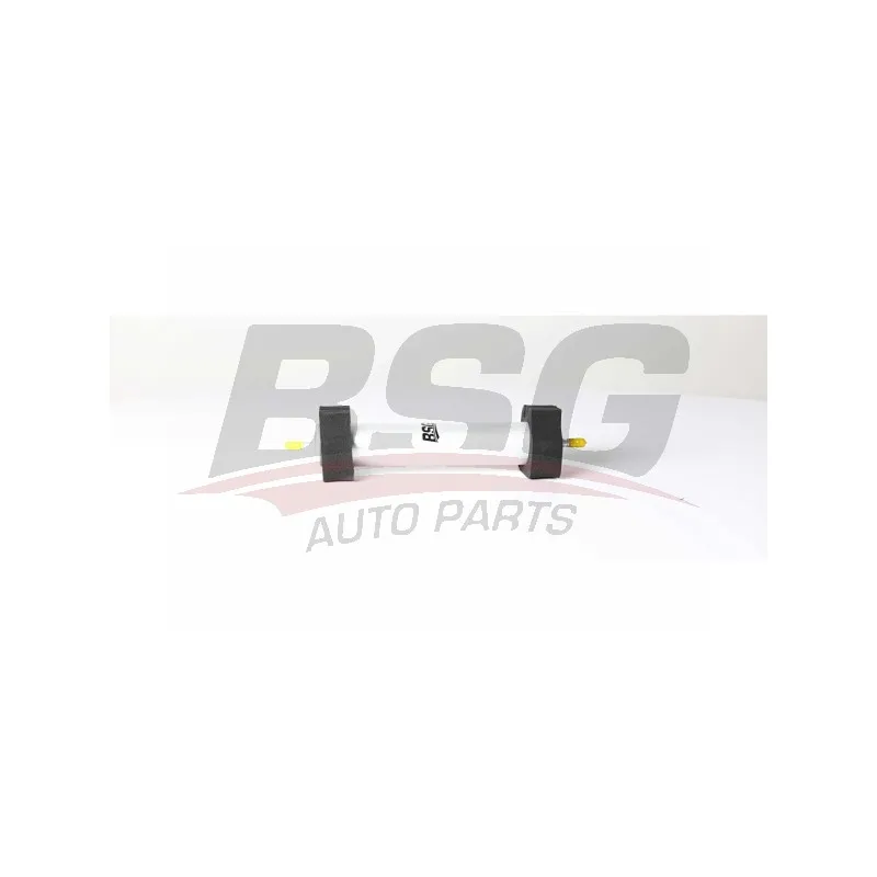 Filtre à carburant BSG BSG 90-130-027