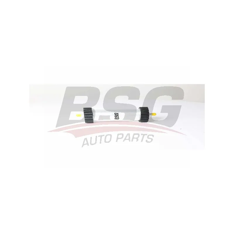 Filtre à carburant BSG BSG 90-130-030
