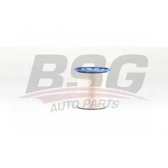 Filtre à carburant BSG BSG 90-130-035