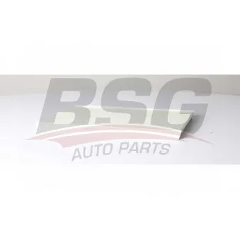 Filtre, air de l'habitacle BSG BSG 90-145-024