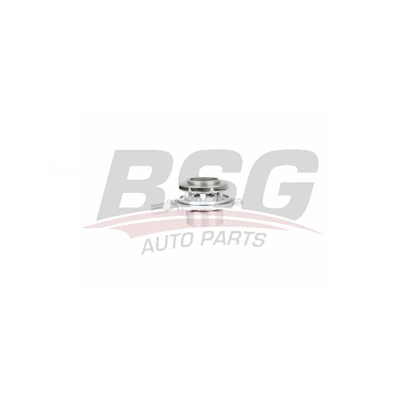 Pompe à eau BSG BSG 90-500-032