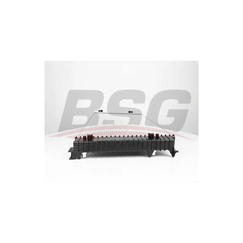 Radiateur, refroidissement du moteur BSG BSG 90-520-015