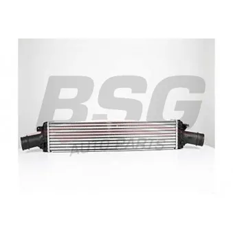 Intercooler, échangeur BSG BSG 90-535-013