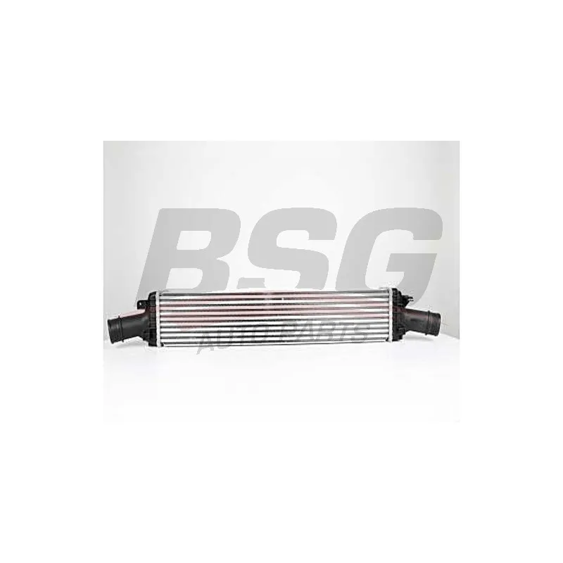 Intercooler, échangeur BSG BSG 90-535-013