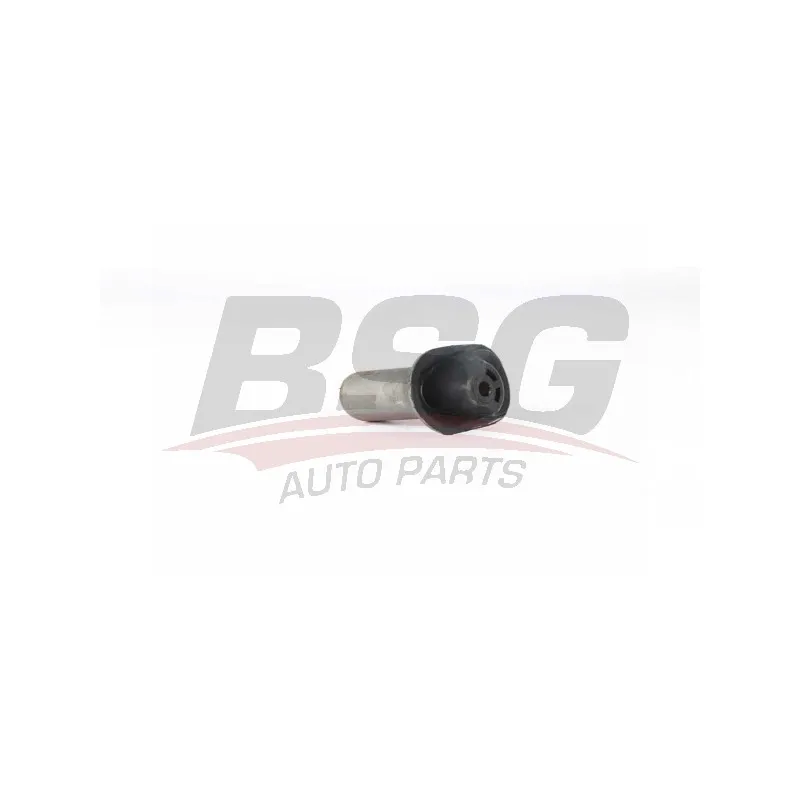 Suspension, corps de l'essieu BSG BSG 90-700-221