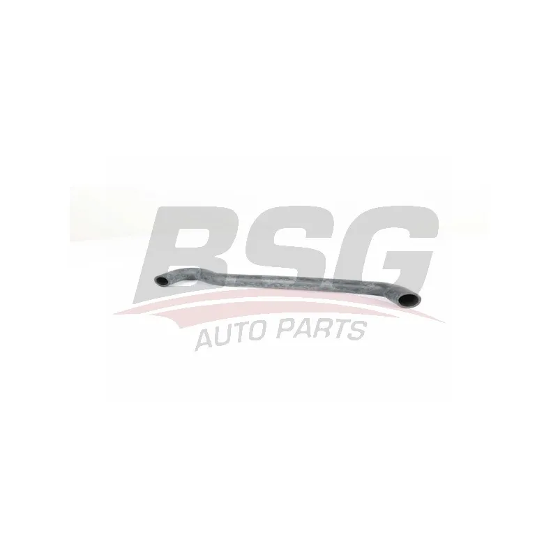 Tuyau, ventilation de carter-moteur BSG BSG 90-720-148