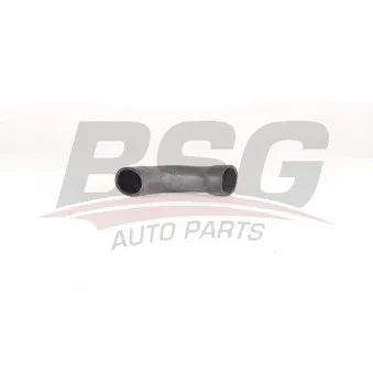 Gaine de suralimentation BSG BSG 90-720-161
