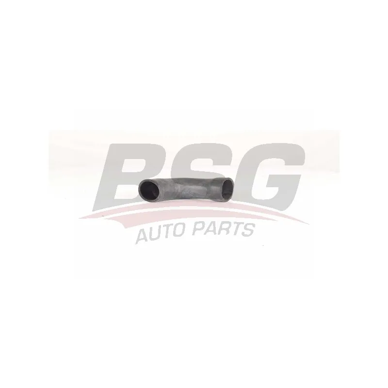 Gaine de suralimentation BSG BSG 90-720-161