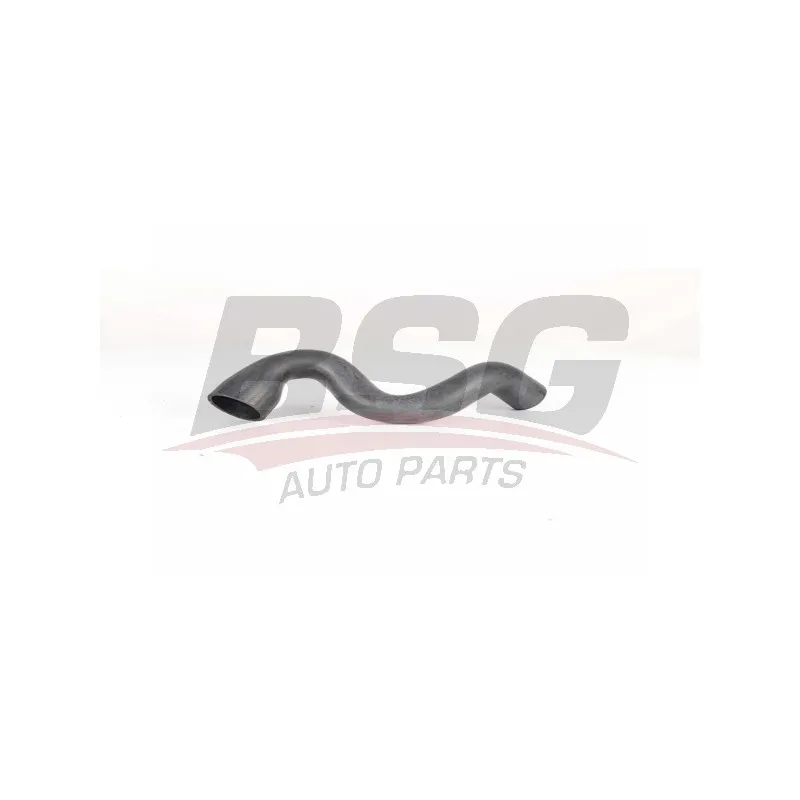 Gaine de suralimentation BSG BSG 90-720-163